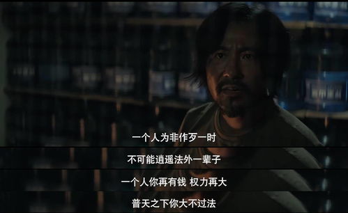 寻子追凶（69集），探寻真相与正义的旅程