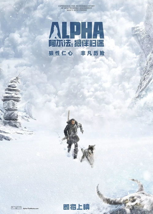 来时有归途，一部深度探寻人生意义的97集情感巨作