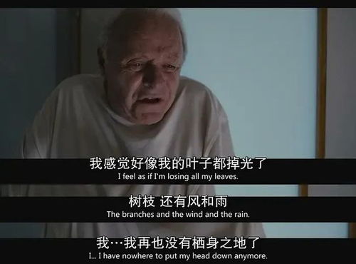 以父之名，深度解读一部感人至深的74集电视剧