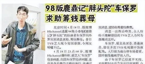 儿不嫌母丑（73集）