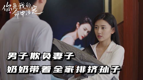 你是我的命中注定（30集）