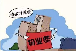 当地回应租农院停车需再交进村费，探讨背后的合理性与解决方案