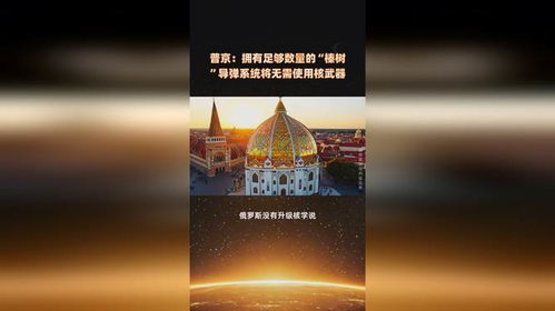 普京，有足够的榛树系统，无需核武