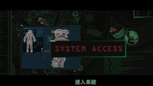 黑寡妇，坚韧与力量的象征