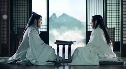 后宫神医太凶猛，医术与权谋的交织（101集深度解析）