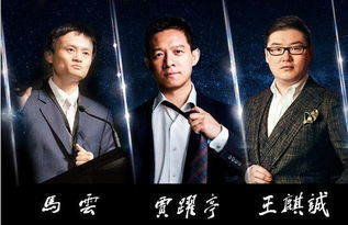 新首富继承人（80集）