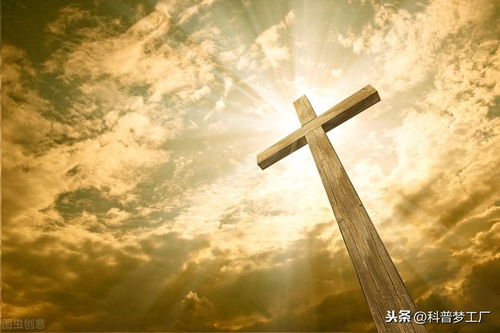 我开启了上帝之眼全70集，探寻真相与力量的旅程