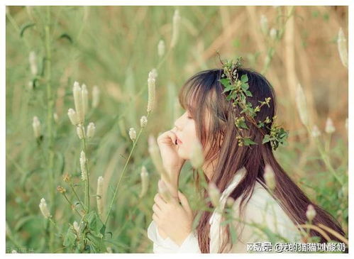 在她温柔里沉沦