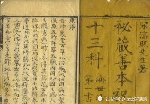 宫廷医圣，古医术的辉煌传承（100集深度解析）