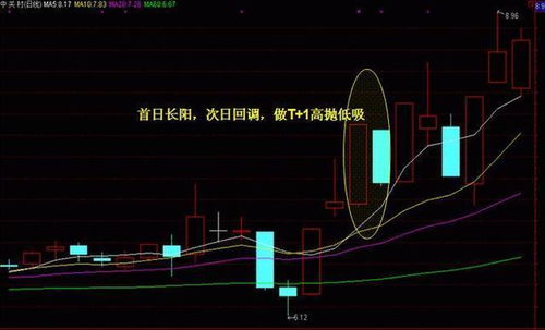 隐秘关系，深度探究与解析（93集系列文章）