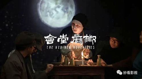 除我之外，一场人生的深度探索（80集连续剧剧情大纲）