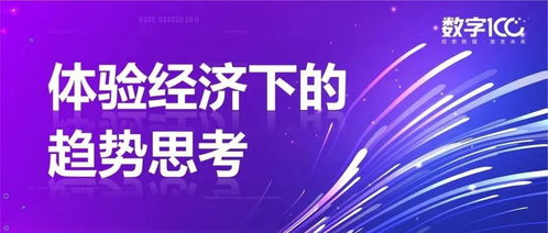 足疗圣手，深度解读与体验（共91集）