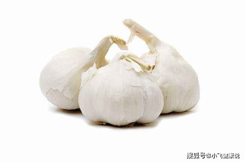 大蒜之梦，意想不到的威胁潜力