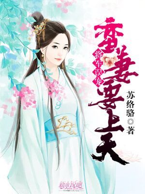 玉簪里的美男夫君（100集）