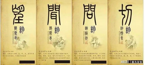 医品江山，超越医术的传奇故事（105集深度解析）
