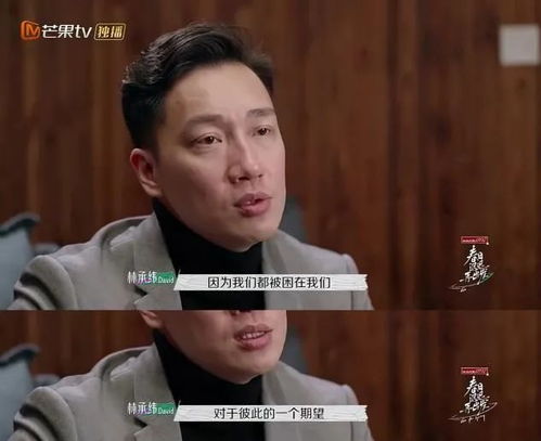 离婚后冷爷他知错了（99集）