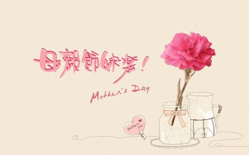 母爱无所归（33集）