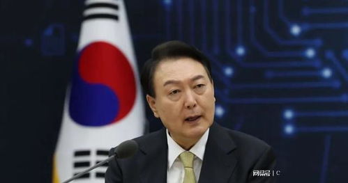 尹锡悦回应国会通过弹劾，绝不放弃——坚定立场，捍卫信念