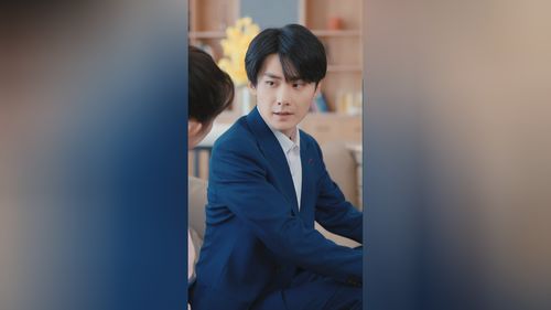他的心尖宠（109集）