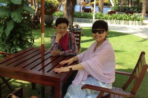 离婚后，我和前夫的新欢成了闺蜜（全62集连载）