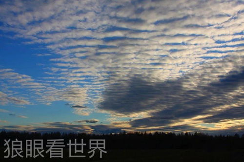 故乡的云（58集）