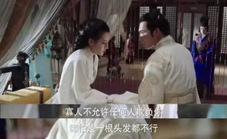 倒贴上门妻（113集），传统与现代交织下的复杂情感纠葛