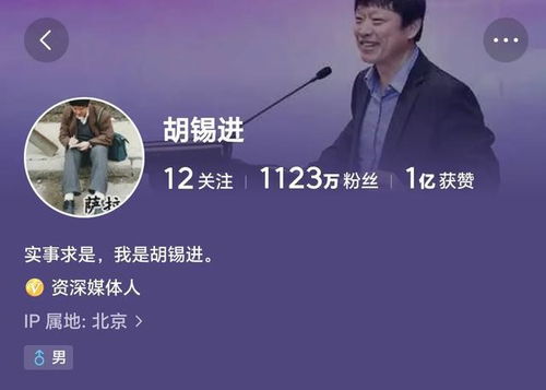 胡锡进谈中美关系，走向未来之路的双向考量