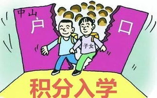 代购年入百万，胖东来何以成神