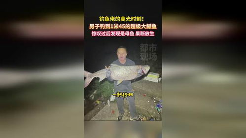 钓鱼佬的高光时刻，百条鱼塞满冰箱