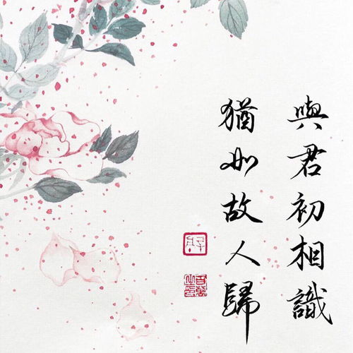 故人不相识（80集）剧情解析及感悟