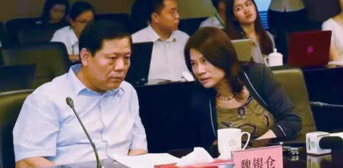 董明珠与雷军的商业对话，关于企业回馈与股东价值的探讨