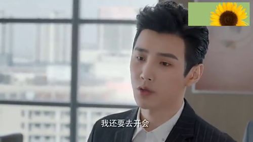总裁的契约女友，一场都市情感契约的100集精彩演绎