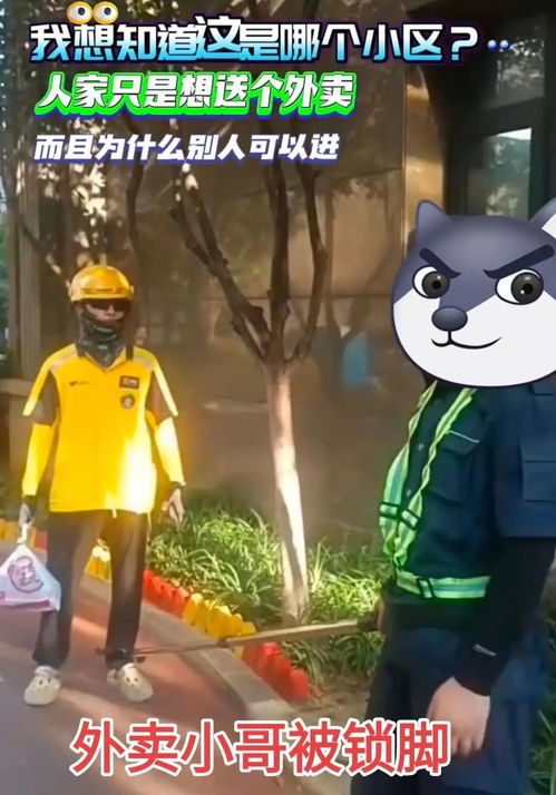 外卖小哥是龙神