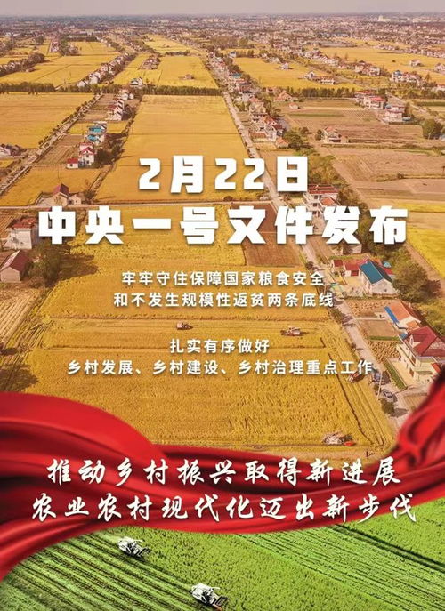 首富回村，乡村振兴的新篇章（101集深度解析）