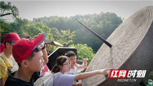 杀猪小神医（79集），传统技艺与现代魅力的交融