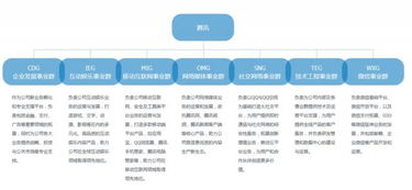 无双女婿（1-12集）剧情解析与人物深度剖析