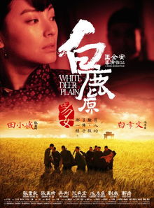 错撩秘爱，一场错综复杂的爱情故事（60集剧情解析）