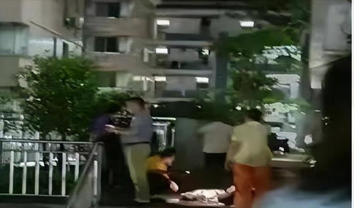 女大学生与男生争吵被扑倒事件，校方的回应及其背后的深思