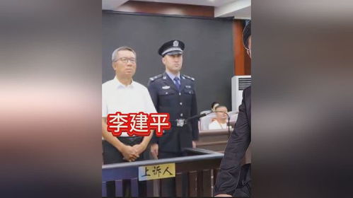 涉案超30亿，巨贪李建平被执行死刑，揭示腐败的代价与警示