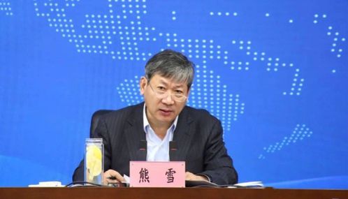 重庆原副市长熊雪贪腐案，巨额贪腐背后的警示与反思