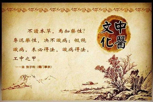 跨世小神医，医术与智慧的交融（共100集深度解析）
