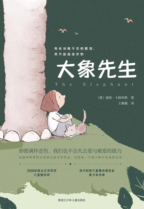 忘了爸爸的样子，回忆与寻找的72集故事
