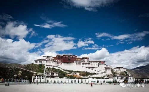 90后小伙徒步到西藏变大爷，一场心灵的历练与成长