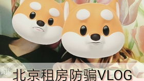 金丝雀驯养手册与总裁的金丝雀，深度解析与体验分享（共80集）