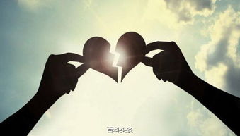 陆总离婚请签字，一场婚姻的破碎与重生（90集深度解析）