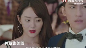 爱恨入骨，厉先生的戴罪娇妻