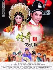 状元重生，张贻乔的传奇之旅（80集）