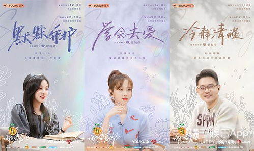 浪漫罪名（50集），爱情与命运的错综交织