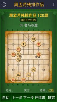 星辰棋主，探索宇宙与棋盘上的奥秘