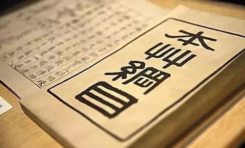 护夫十年，时光洗礼下的坚定守护（71集剧情概述）